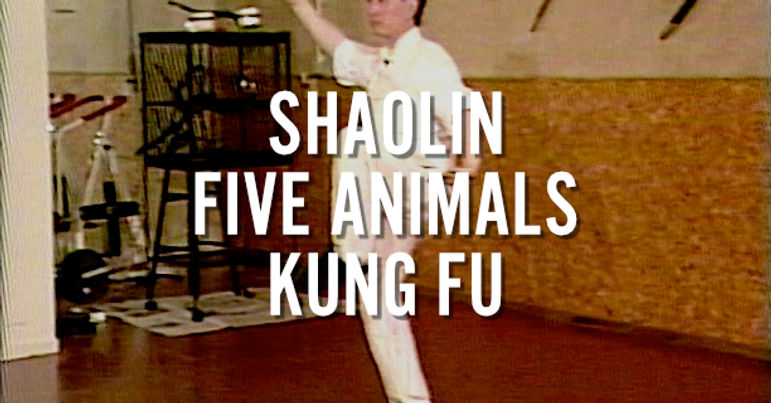 SHAOLIN FIVE ANIMALS KUNG FU - GRANDMASTER DOC-FAI WONG